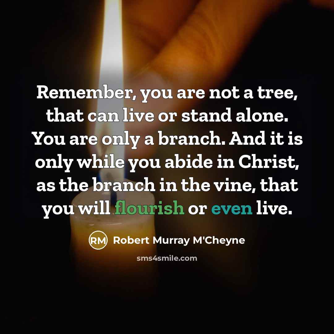 “Remember, you are not a tree, that can live or stand alone. You are only a branch. And it is only while you abide in Christ, as the branch in the vine, that you will flourish or even live.” quote by Robert Murray M'Cheyne