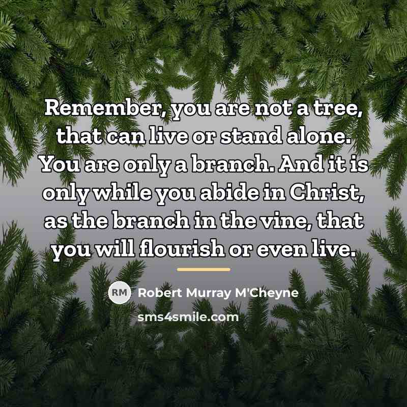 “Remember, you are not a tree, that can live or…” quote by Robert Murray M'Cheyne