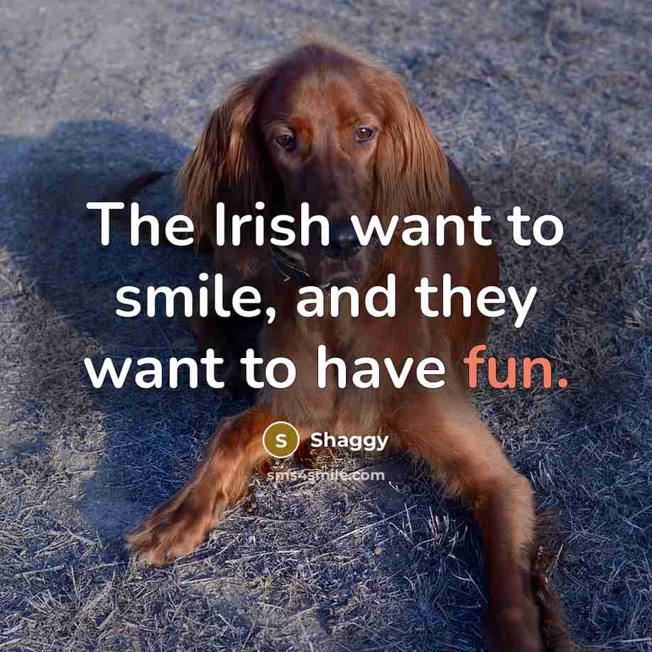 “The Irish want to smile, and they want to have…” quote by Shaggy