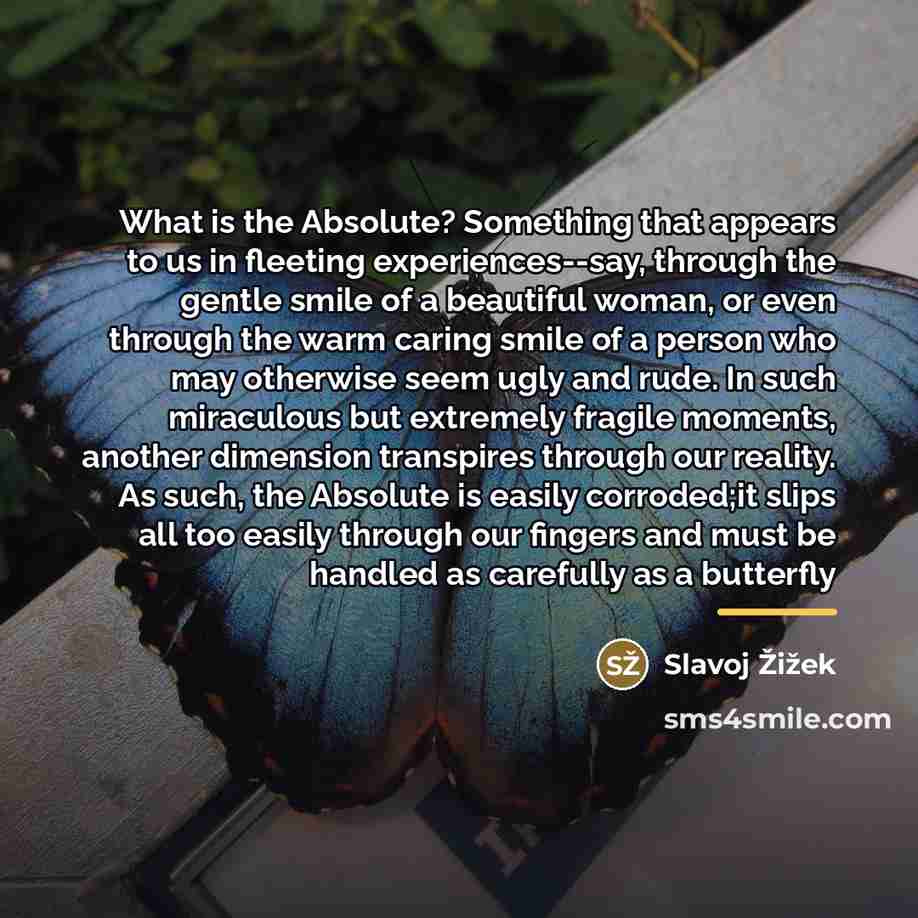 “What is the Absolute? Something that appears to us in…” quote by Slavoj Žižek