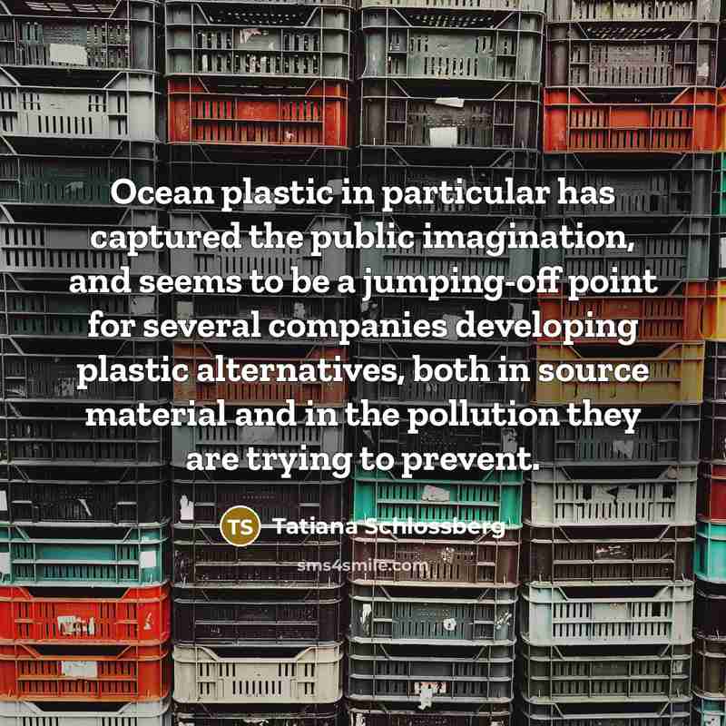 “Ocean plastic in particular has captured the public imagination, and…” quote by Tatiana Schlossberg