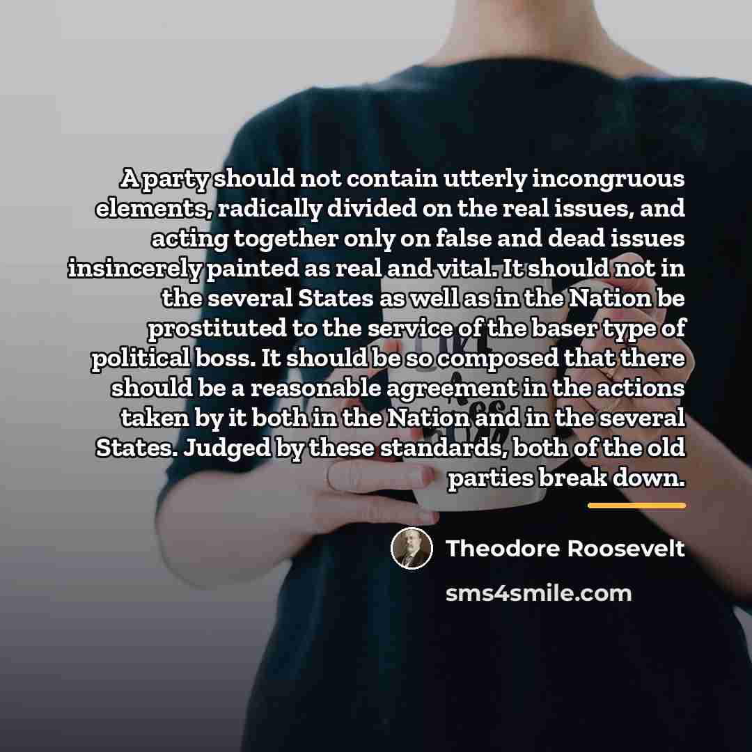 “A party should not contain utterly incongruous elements, radically divided…” quote by Theodore Roosevelt
