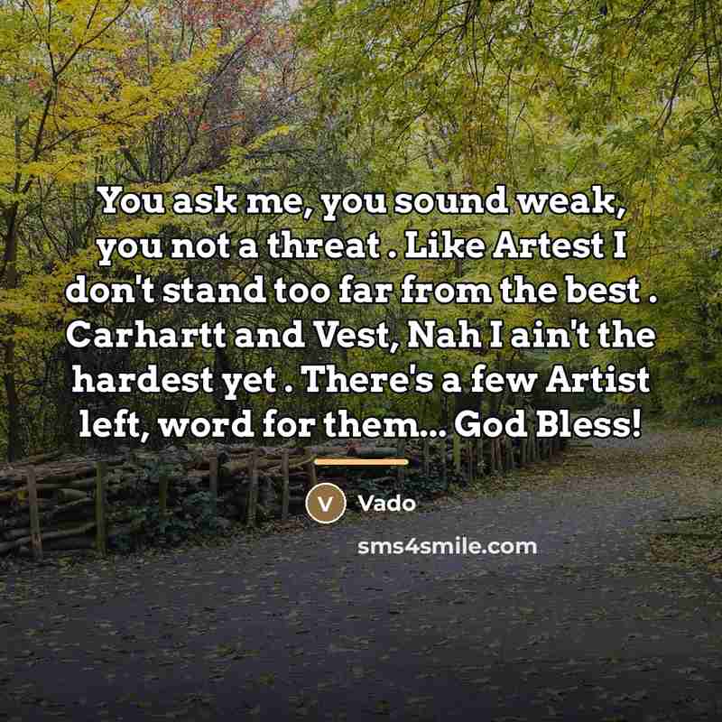 “You ask me, you sound weak, you not a threat…” quote by Vado