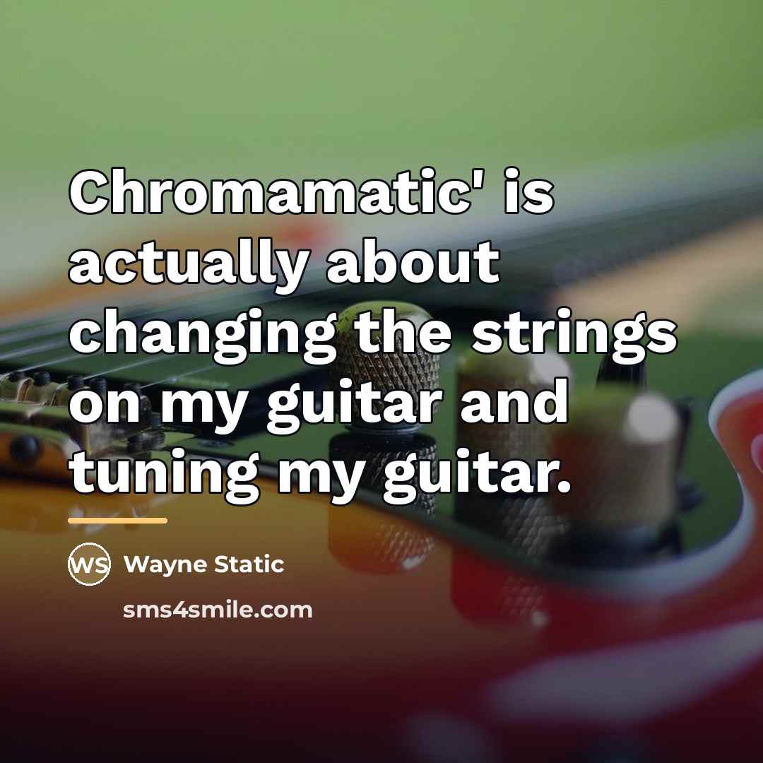 “Chromamatic' is actually about changing the strings on my guitar…” quote by Wayne Static