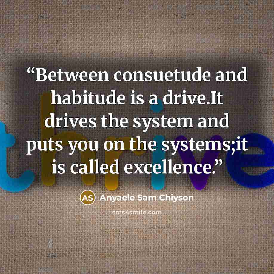 “Between consuetude and habitude is a drive.It drives the system and puts you on the systems;it is called excellence.” quote by Anyaele Sam Chiyson