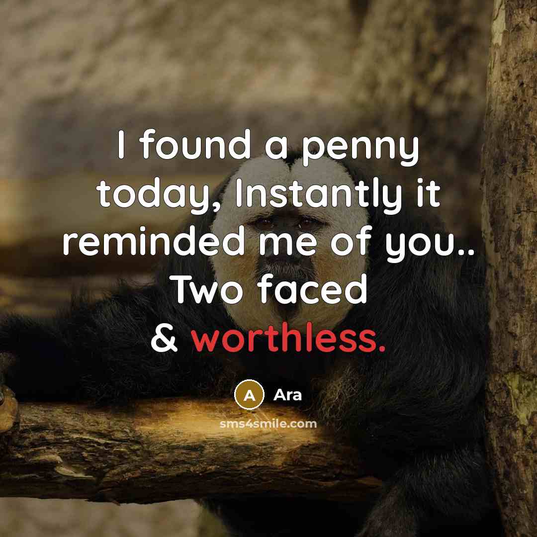 “I found a penny today, Instantly it reminded me of you.. Two faced & worthless.” quote by Ara
