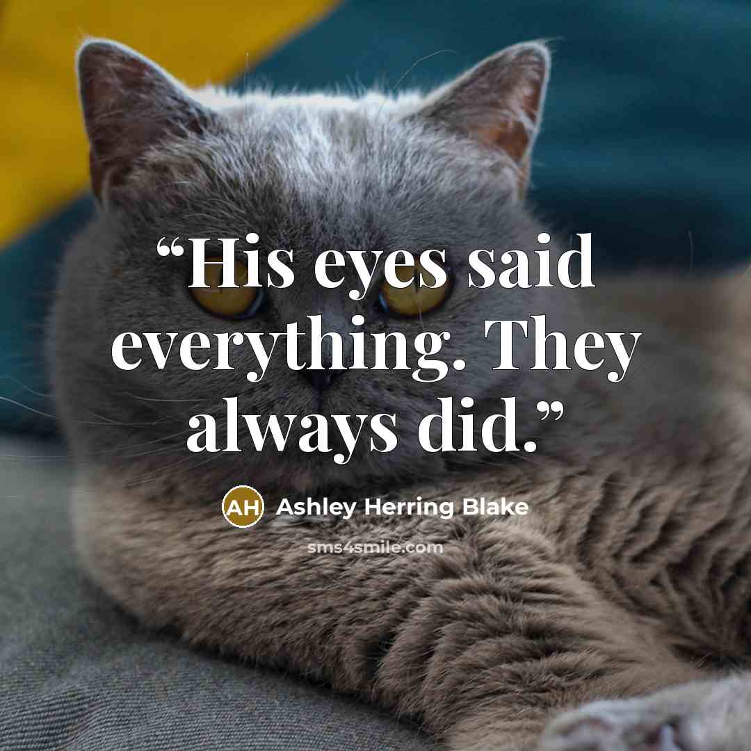 “His eyes said everything. They always did.” quote by Ashley Herring Blake