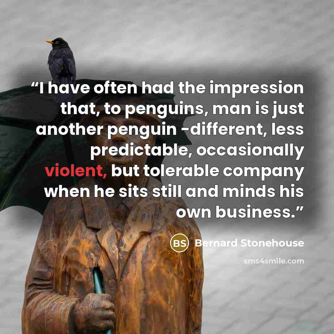 “I have often had the impression that, to penguins, man is just another penguin -different, less predictable, occasionally violent, but tolerable company when he sits still and minds his own business.” quote by Bernard Stonehouse