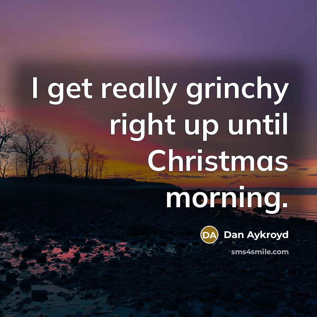 “I get really grinchy right up until Christmas morning.…” quote by Dan Aykroyd