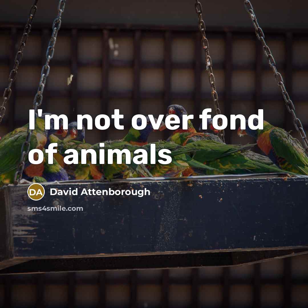“I'm not over fond of animals…” quote by David Attenborough