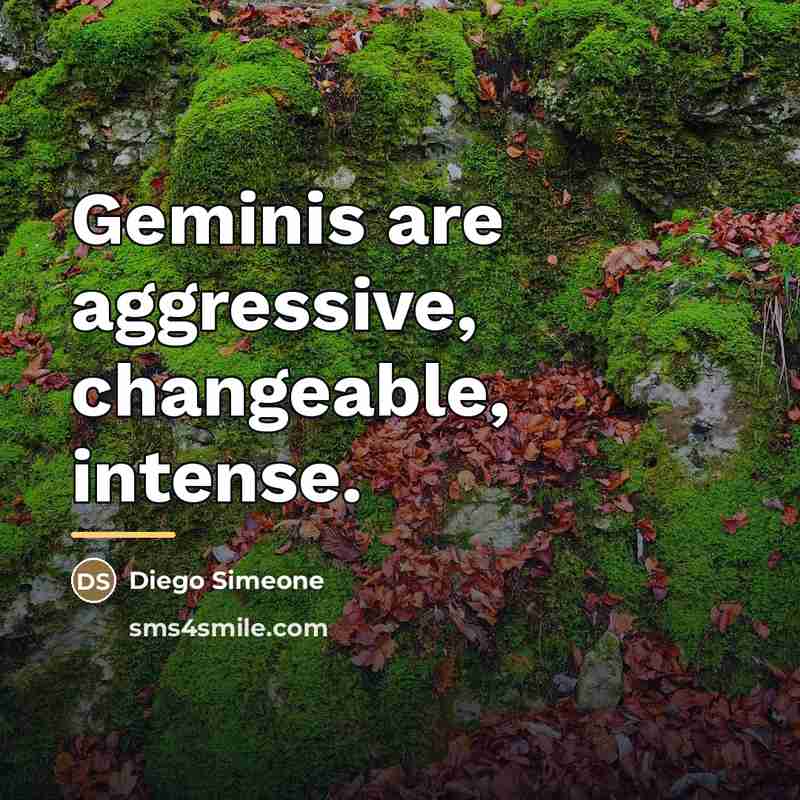 “Geminis are aggressive, changeable, intense.…” quote by Diego Simeone