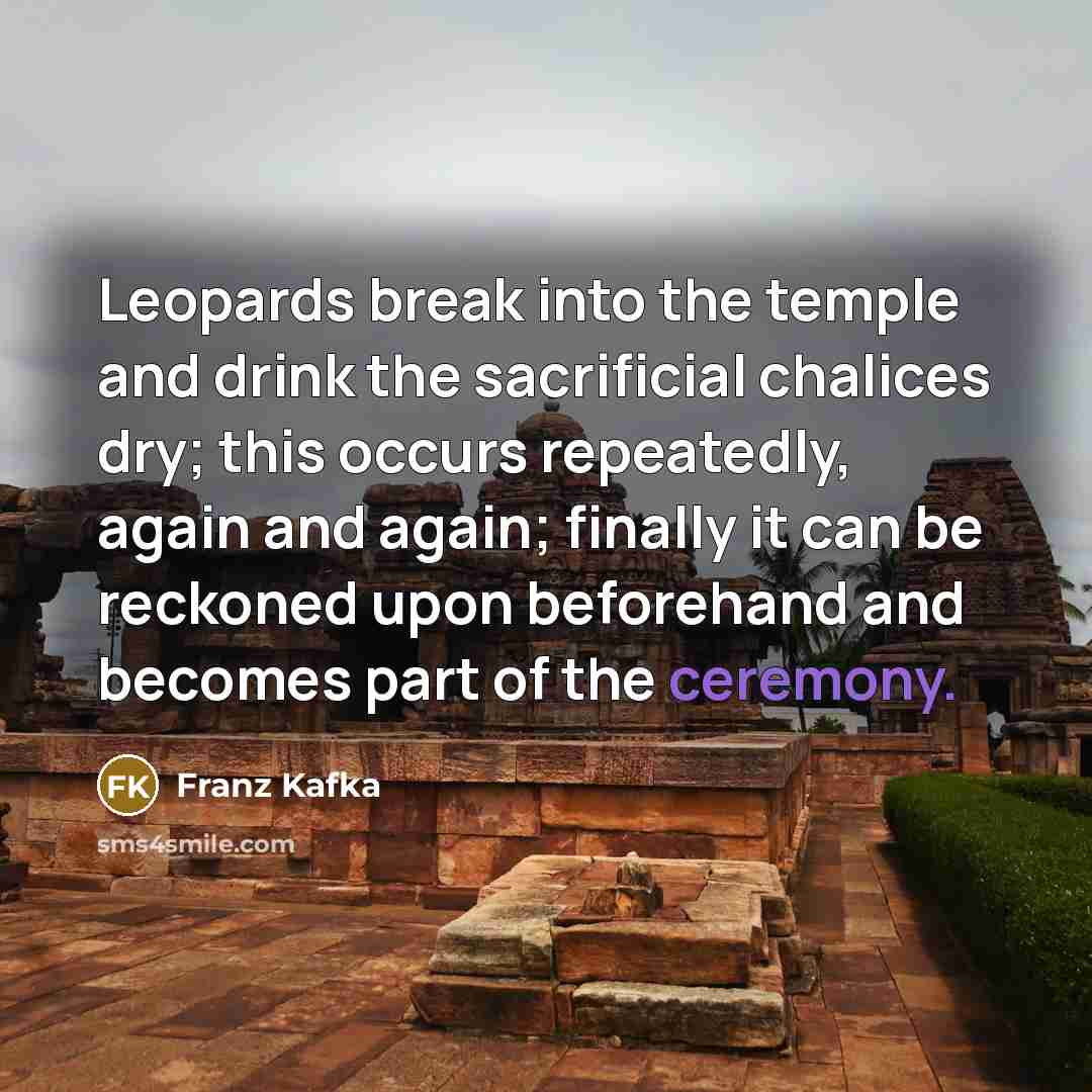 “Leopards break into the temple and drink the sacrificial chalices…” quote by Franz Kafka