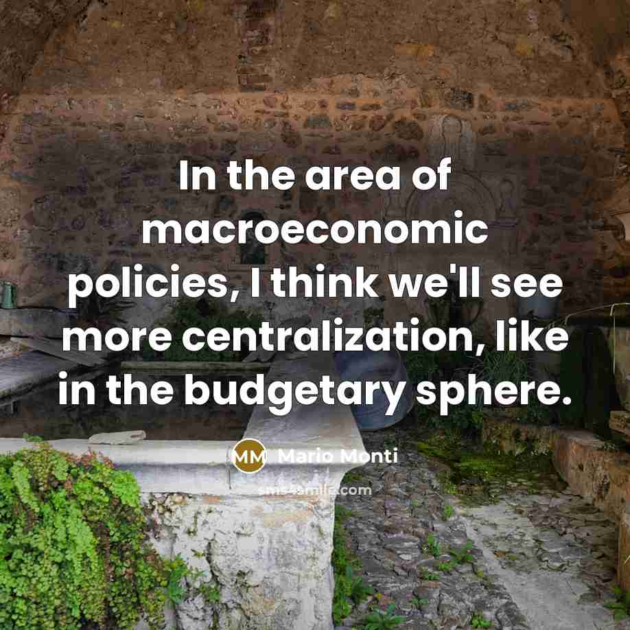 “In the area of macroeconomic policies, I think we'll see…” quote by Mario Monti