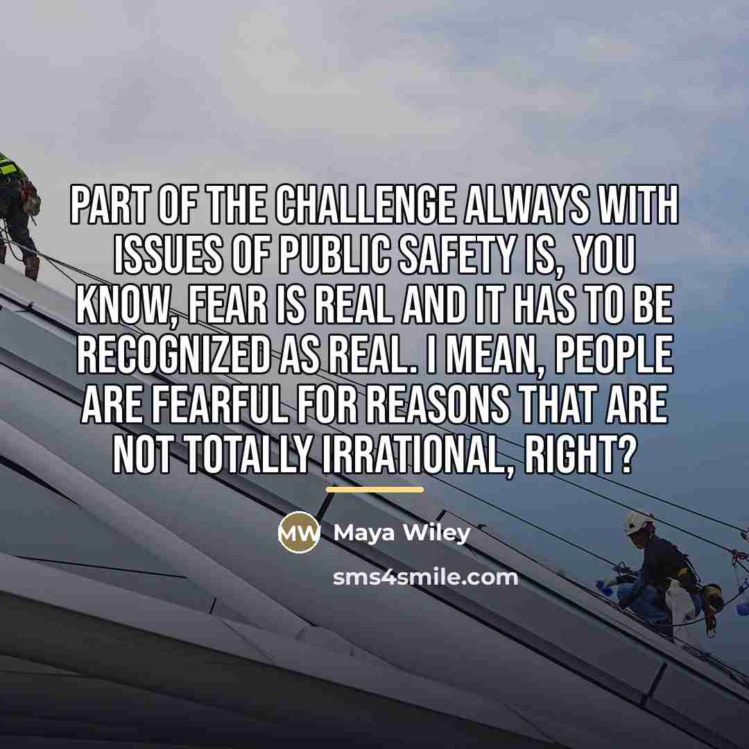 “Part of the challenge always with issues of public safety…” quote by Maya Wiley