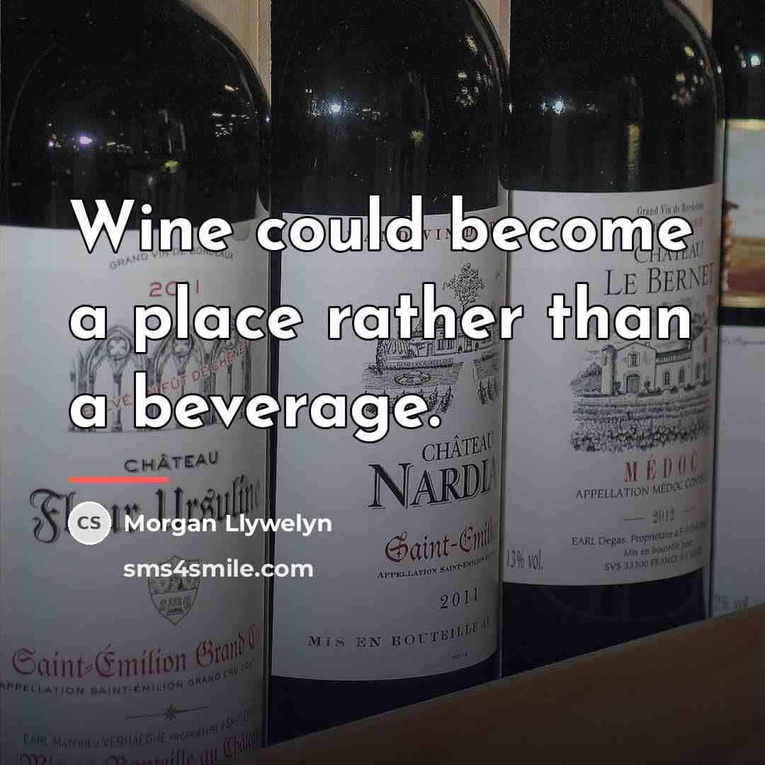 “Wine could become a place rather than a beverage.…” quote by Morgan Llywelyn