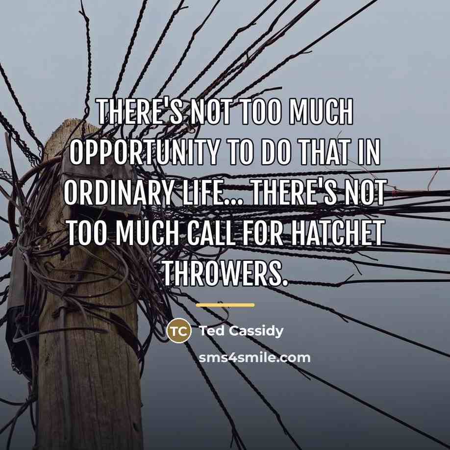 “There's not too much opportunity to do that in ordinary…” quote by Ted Cassidy
