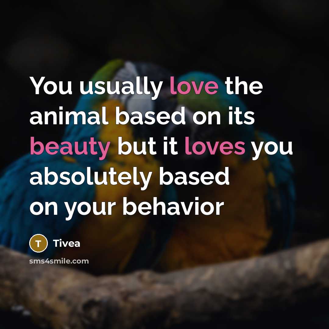 “You usually love the animal based on its beauty but it loves you absolutely based on your behavior” quote by Tivea
