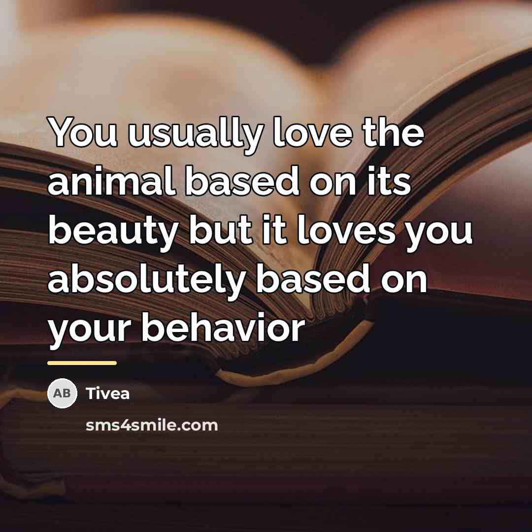 “You usually love the animal based on its beauty but…” quote by Tivea