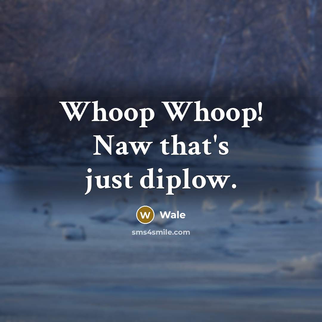 “Whoop Whoop! Naw that's just diplow.” quote by Wale