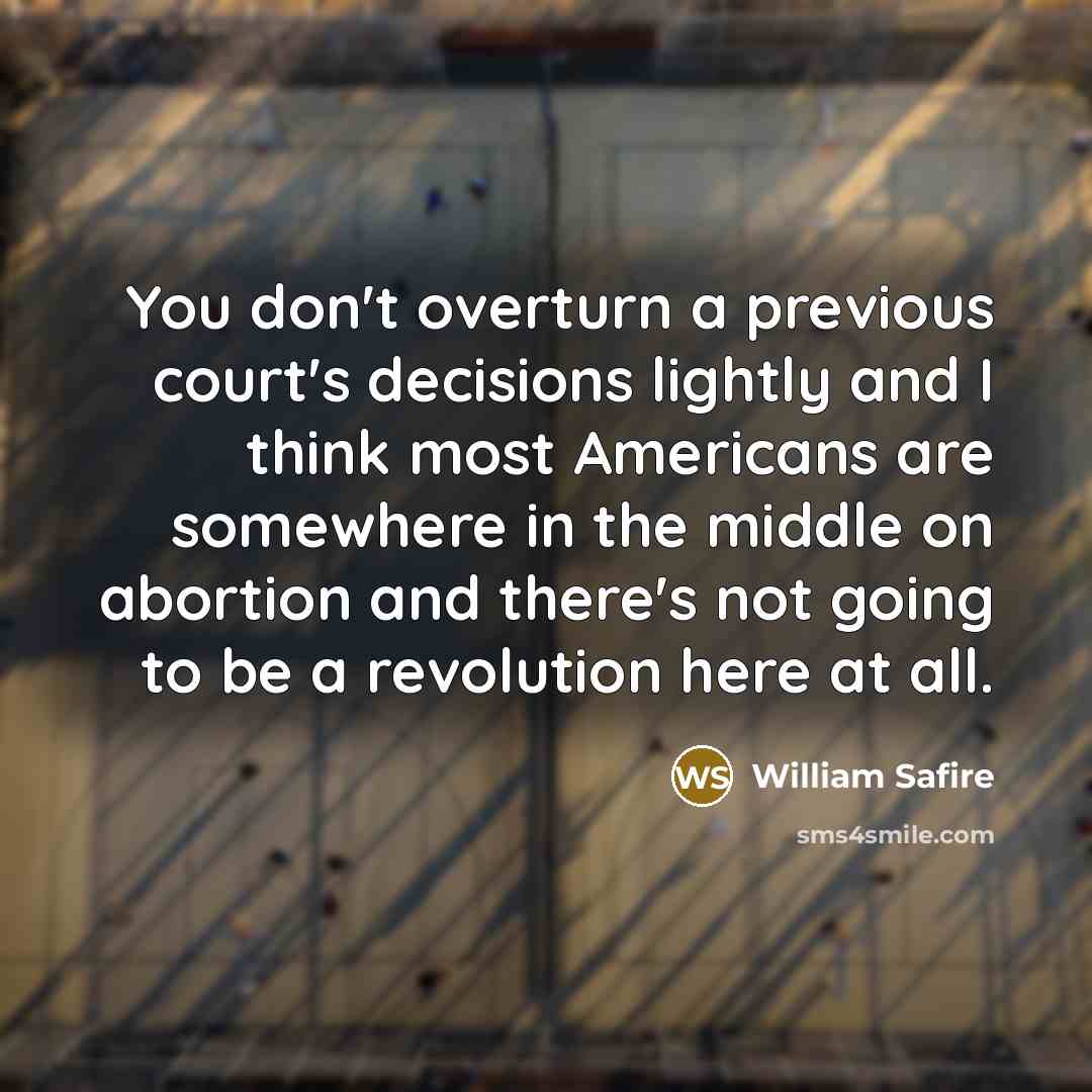 “You don't overturn a previous court's decisions lightly and I…” quote by William Safire