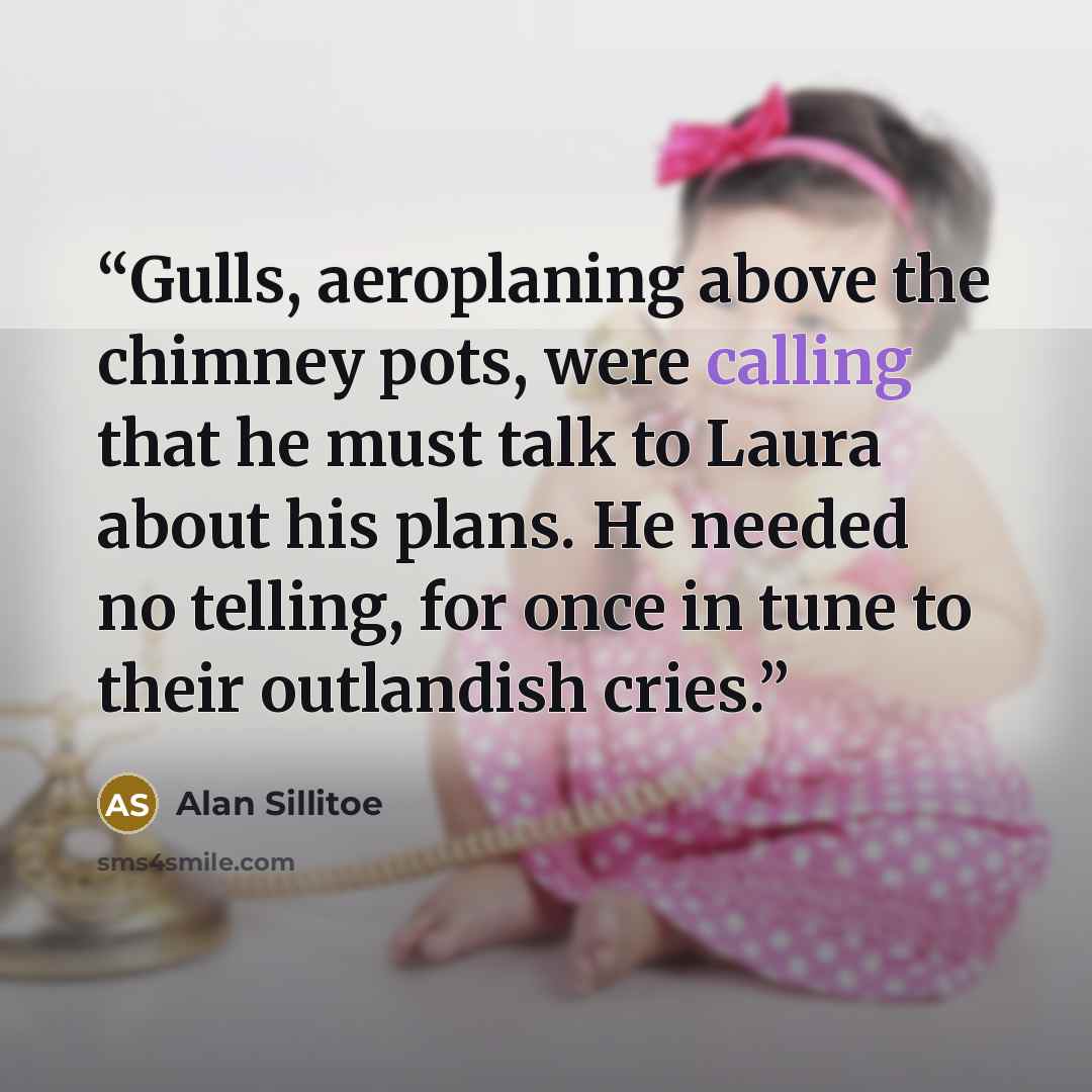 “Gulls, aeroplaning above the chimney pots, were calling that he must talk to Laura about his plans. He needed no telling, for once in tune to their outlandish cries.” quote by Alan Sillitoe