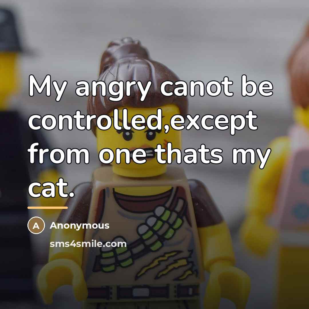 “My angry canot be controlled,except from one thats my cat.…” quote by Anonymous