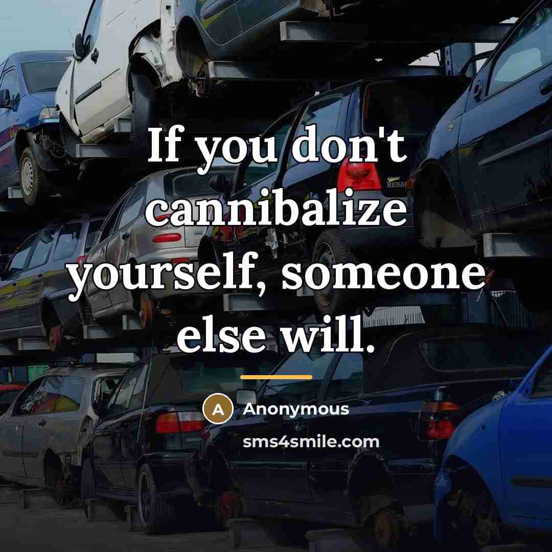 “If you don't cannibalize yourself, someone else will.…” quote by Anonymous