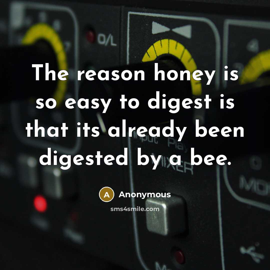 “The reason honey is so easy to digest is that its already been digested by a bee.” quote by Anonymous