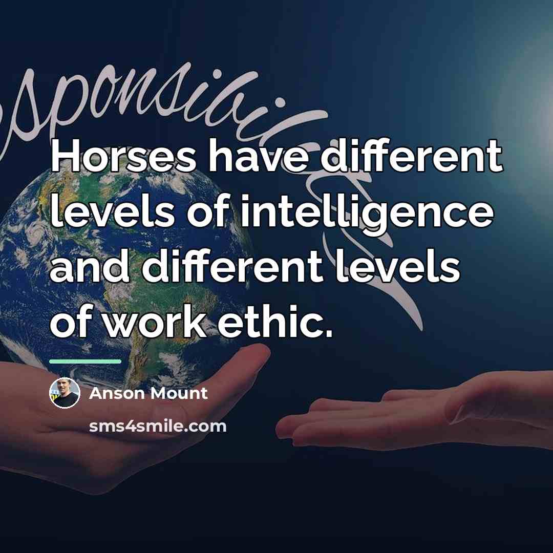 “Horses have different levels of intelligence and different levels of…” quote by Anson Mount