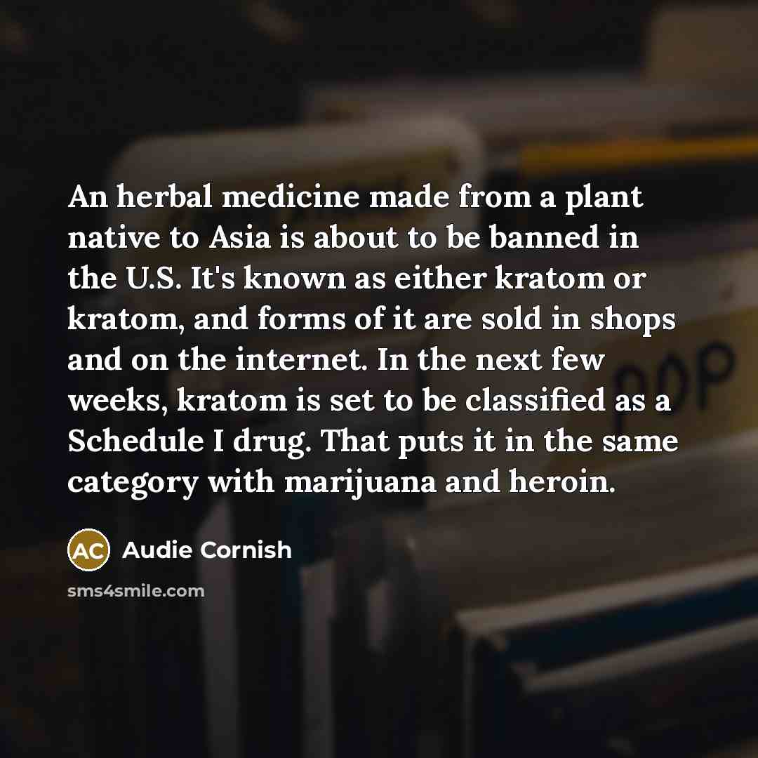 “An herbal medicine made from a plant native to Asia…” quote by Audie Cornish