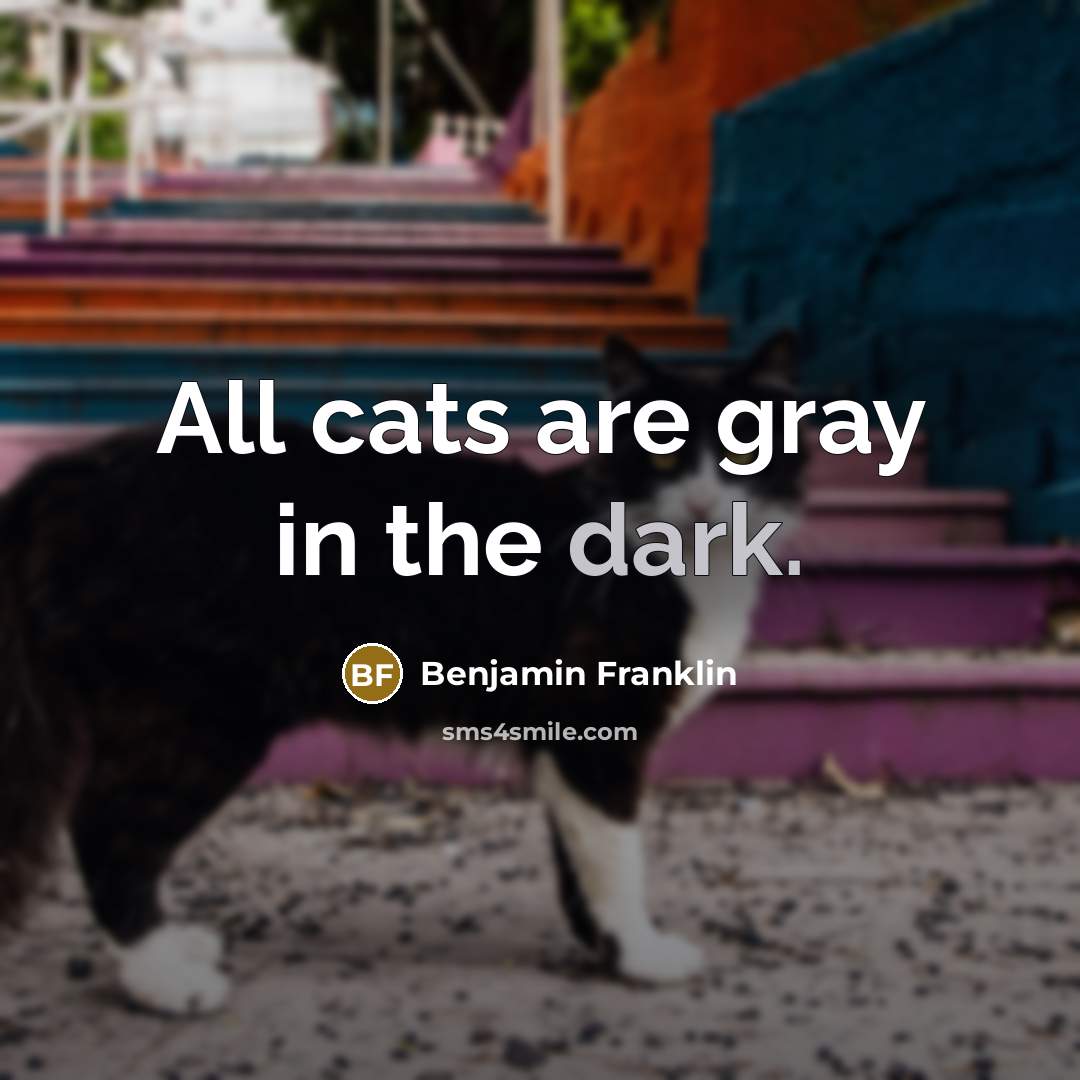 “All cats are gray in the dark.…” quote by Benjamin Franklin