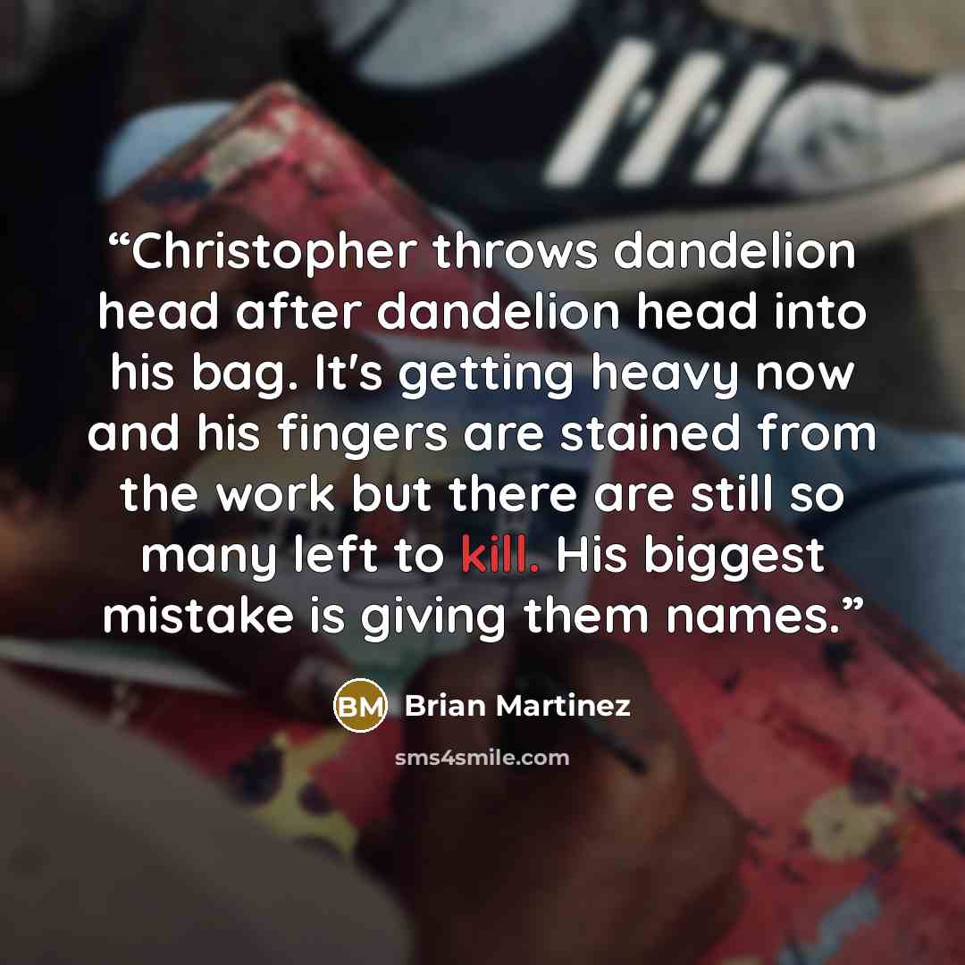 “Christopher throws dandelion head after dandelion head into his bag. It's getting heavy now and his fingers are stained from the work but there are still so many left to kill. His biggest mistake is giving them names.” quote by Brian Martinez