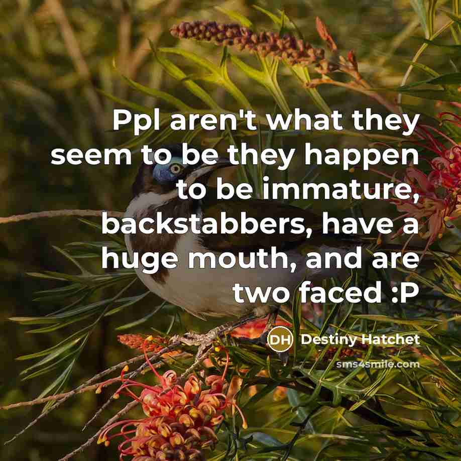 “Ppl aren't what they seem to be they happen to…” quote by Destiny Hatchet