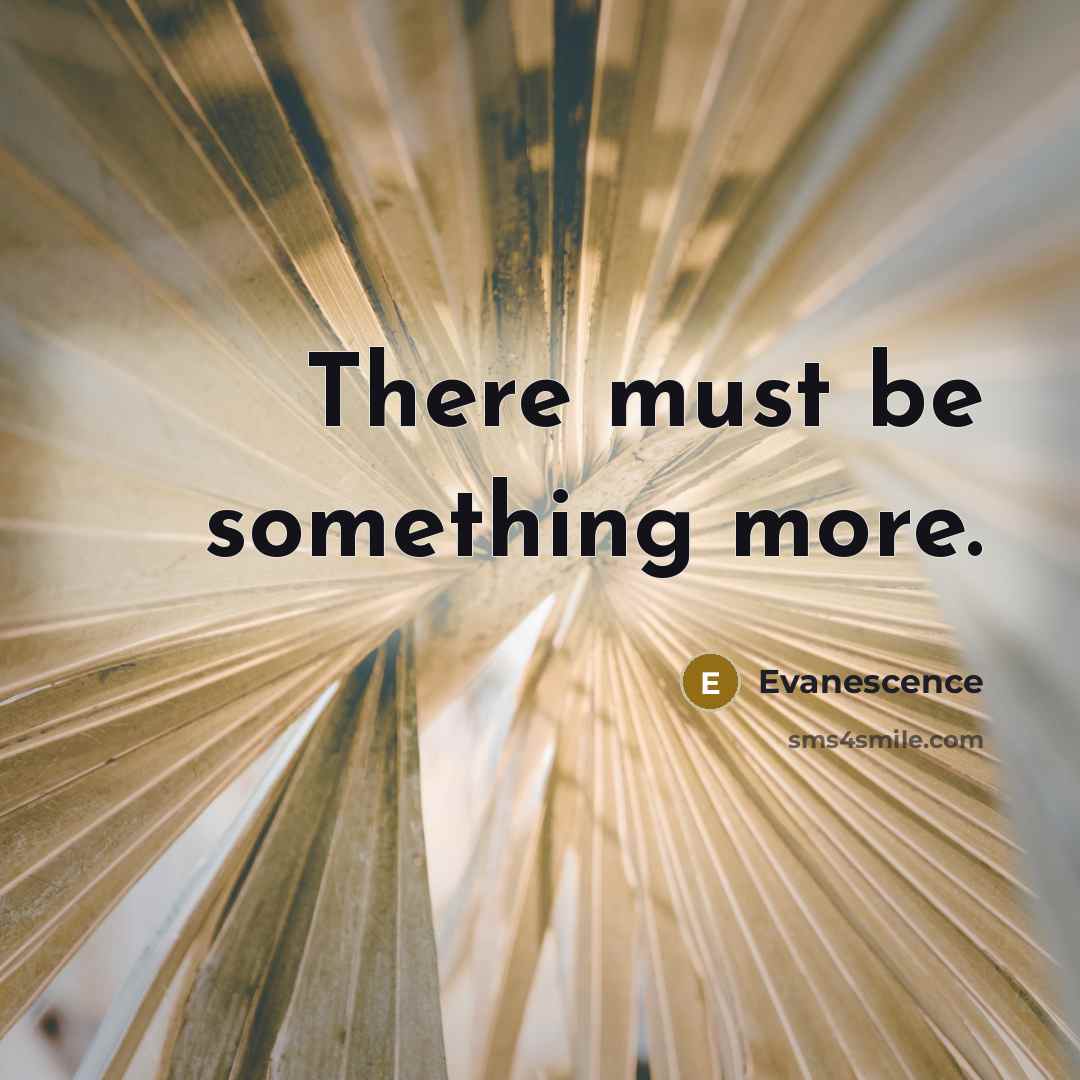 “There must be something more.…” quote by Evanescence