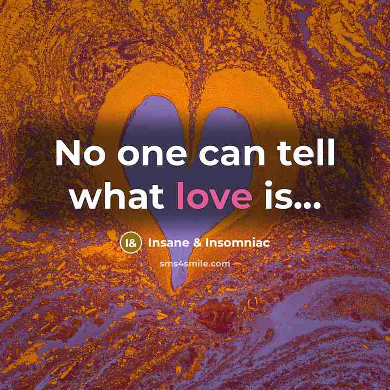“No one can tell what love is...…” quote by Insane & Insomniac