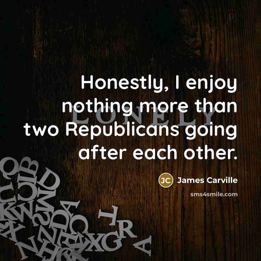 “Honestly, I enjoy nothing more than two Republicans going after…” quote by James Carville