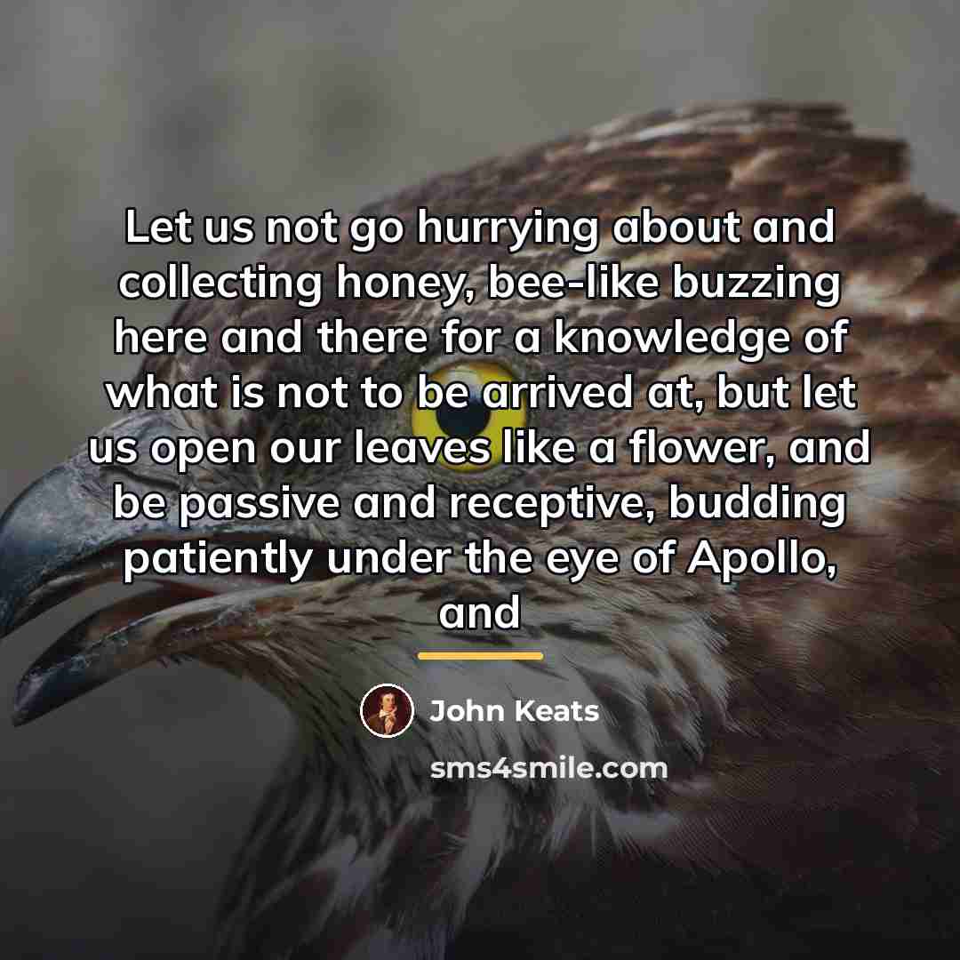 “Let us not go hurrying about and collecting honey, bee-like…” quote by John Keats