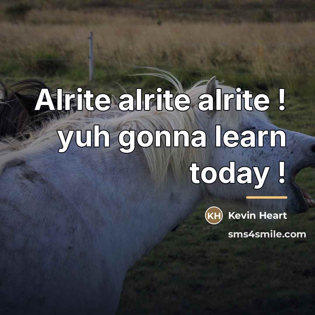“Alrite alrite alrite ! yuh gonna learn today !…” quote by Kevin Heart