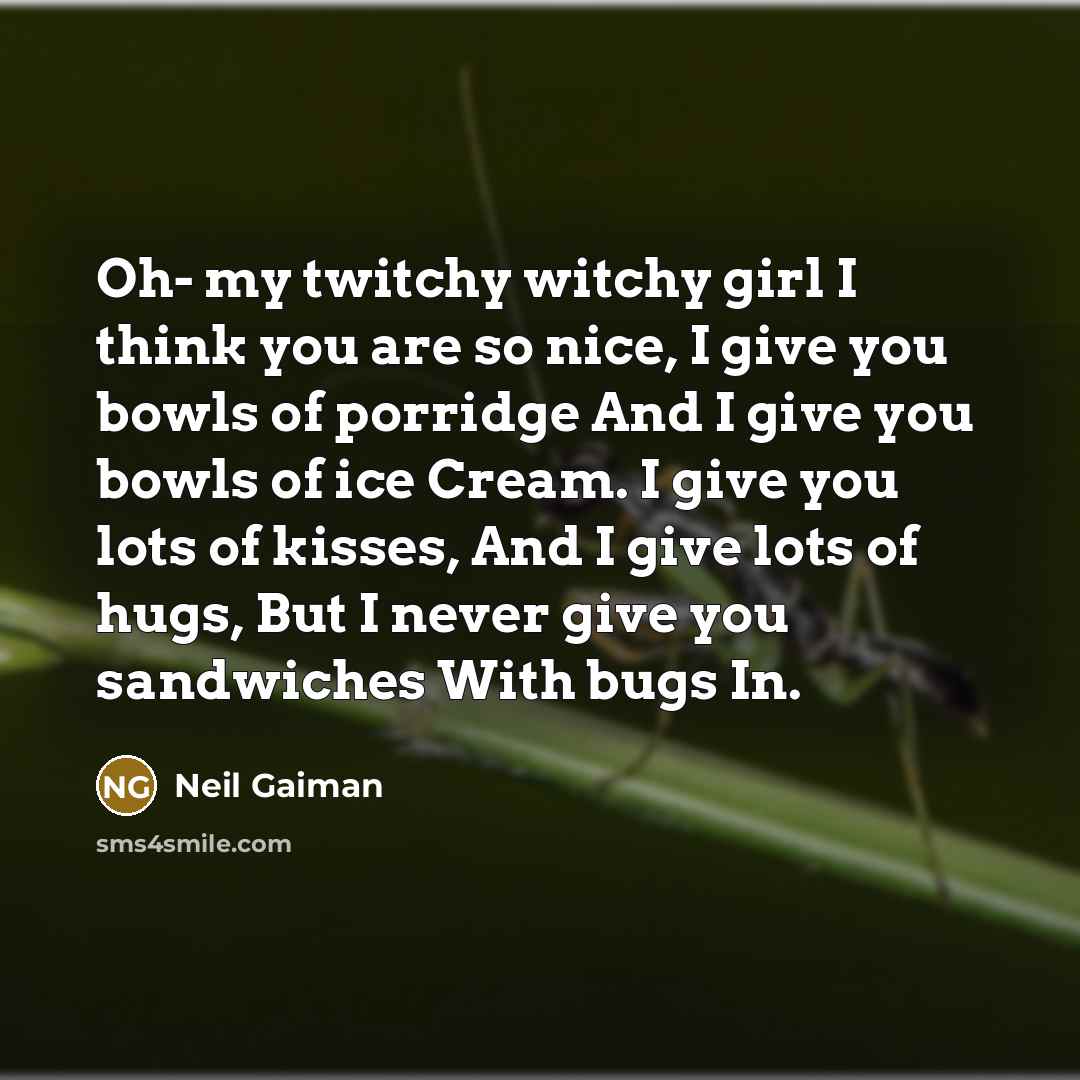 “Oh- my twitchy witchy girl I think you are so…” quote by Neil Gaiman