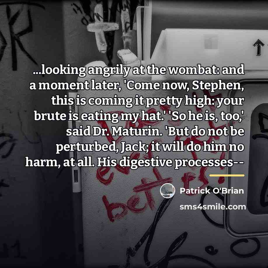 “...looking angrily at the wombat: and a moment later, 'Come…” quote by Patrick O'Brian
