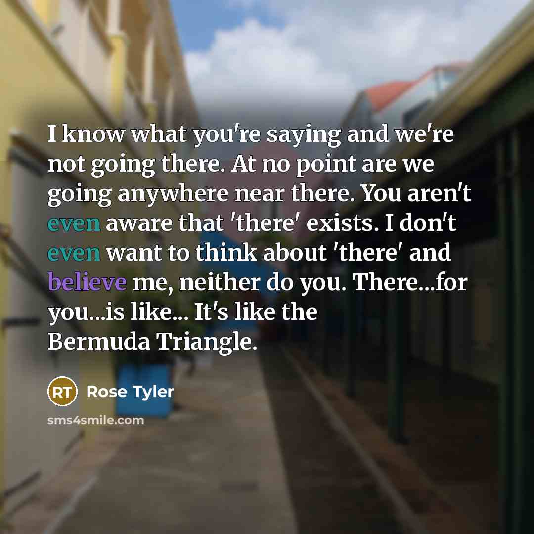 “I know what you're saying and we're not going there. At no point are we going anywhere near there. You aren't even aware that 'there' exists. I don't even want to think about 'there' and believe me, neither do you. There...for you...is like... It's like the Bermuda Triangle.” quote by Rose Tyler