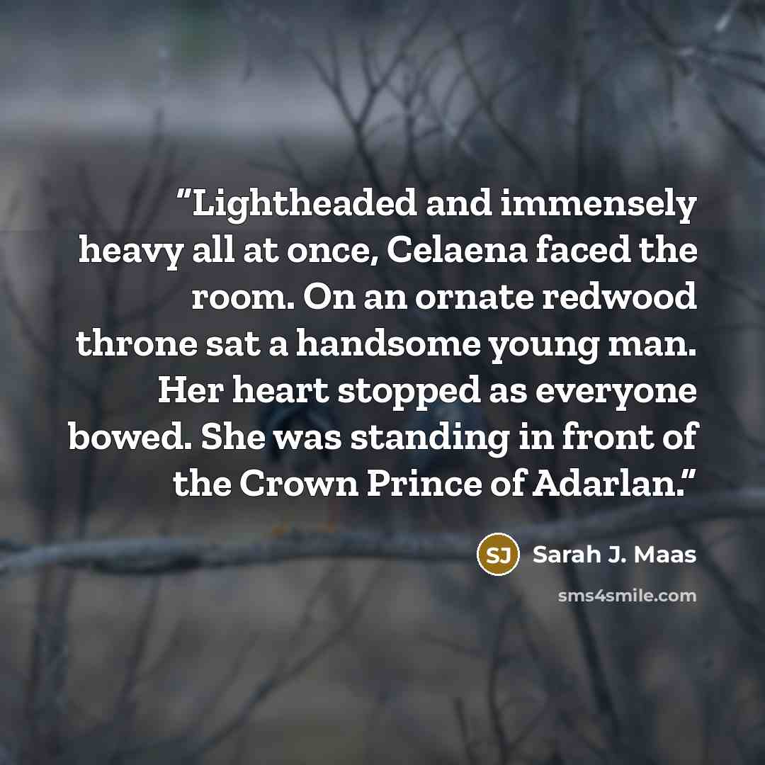 “Lightheaded and immensely heavy all at once, Celaena faced the room. On an ornate redwood throne sat a handsome young man. Her heart stopped as everyone bowed. She was standing in front of the Crown Prince of Adarlan.” quote by Sarah J. Maas