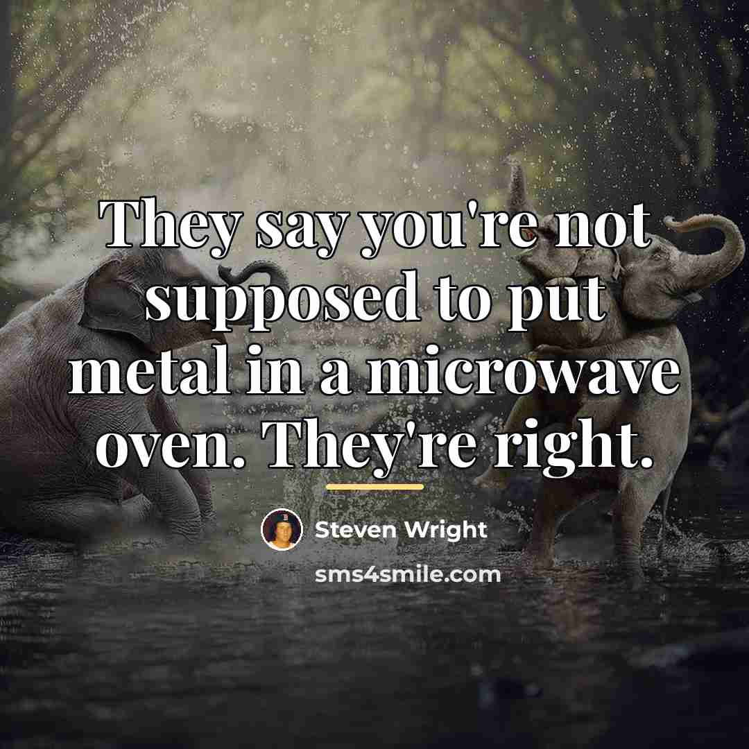 “They say you're not supposed to put metal in a…” quote by Steven Wright