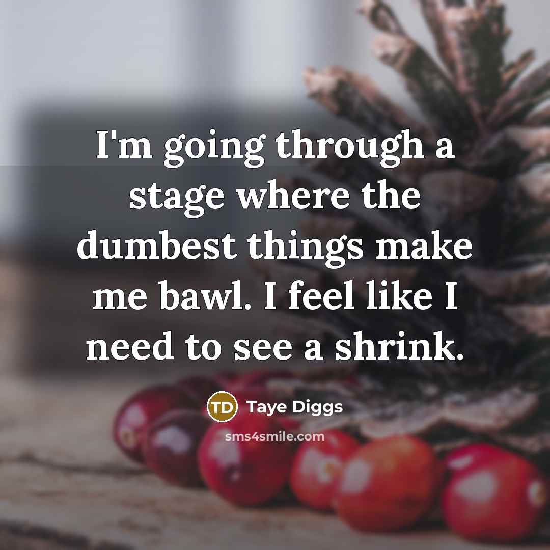“I'm going through a stage where the dumbest things make…” quote by Taye Diggs