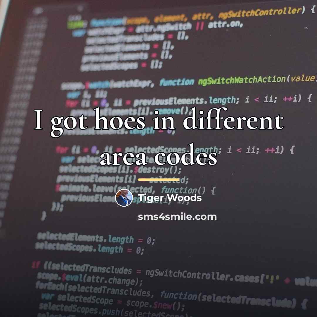 “I got hoes in different area codes…” quote by Tiger Woods
