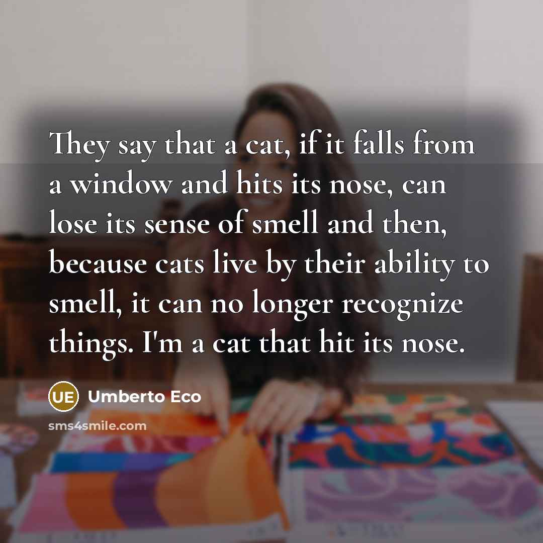 “They say that a cat, if it falls from a…” quote by Umberto Eco