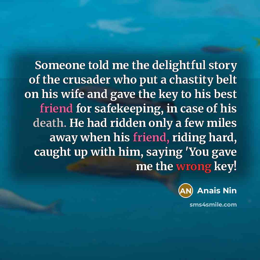 “Someone told me the delightful story of the crusader who…” quote by Anais Nin