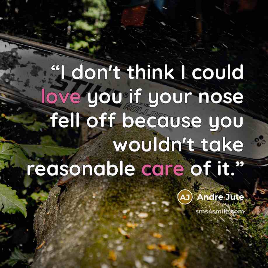 “I don't think I could love you if your nose fell off because you wouldn't take reasonable care of it.” quote by Andre Jute