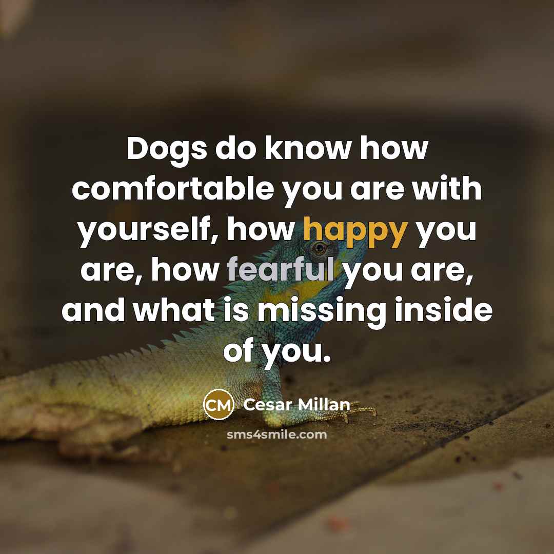 “Dogs do know how comfortable you are with yourself, how happy you are, how fearful you are, and what is missing inside of you.” quote by Cesar Millan