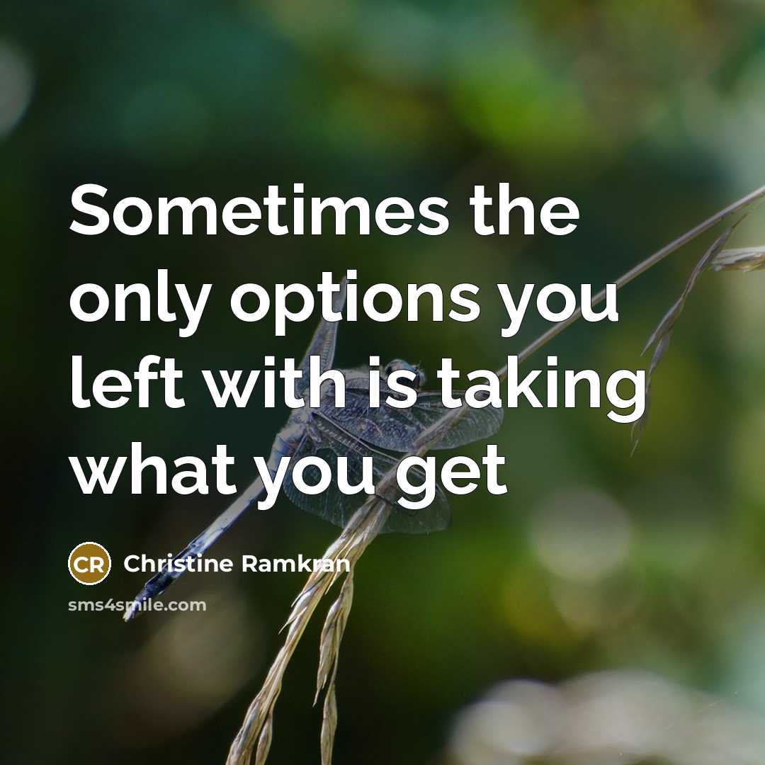 “Sometimes the only options you left with is taking what…” quote by Christine Ramkran